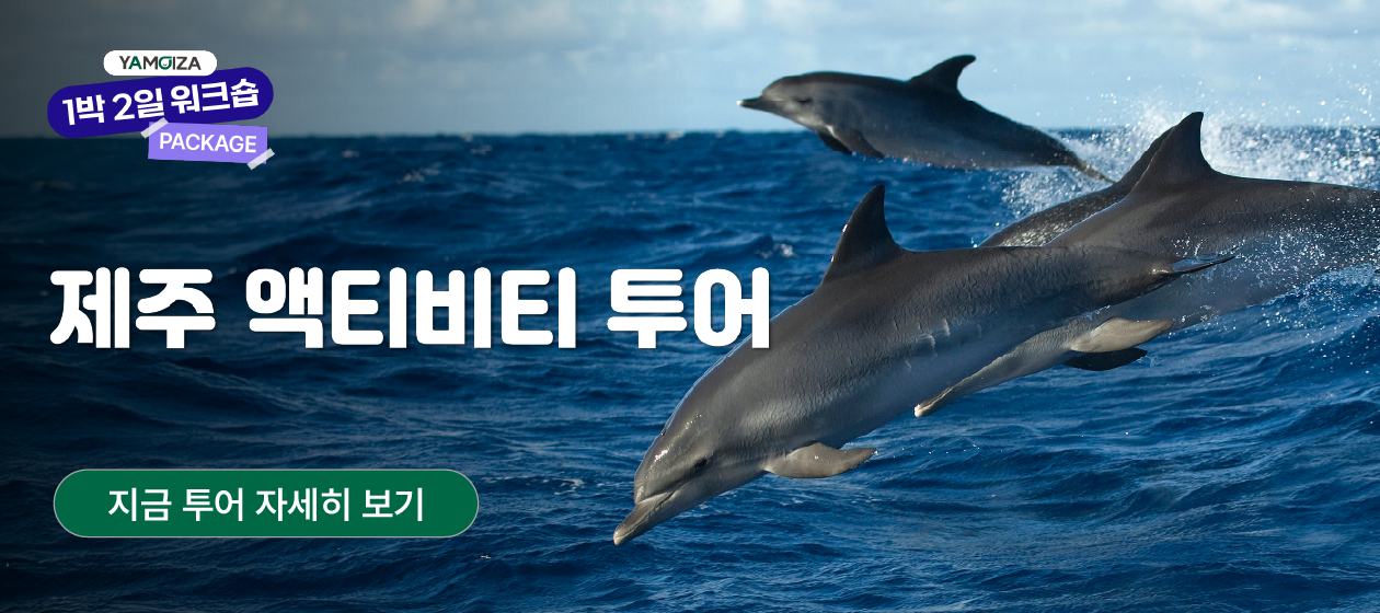 원데이 - 제주-액티비