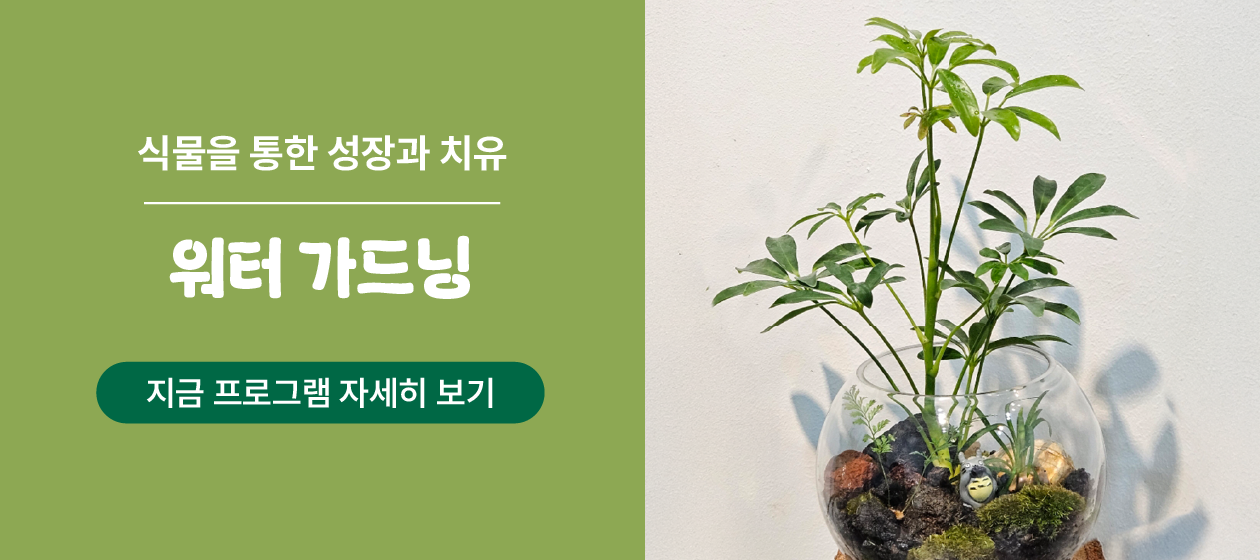 예술 체험 - 워터 가드닝