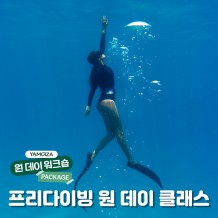물속에서 자유로운 상상 '프리다이빙 원 데이 클래스'