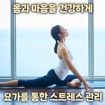 몸과 마음을 건강하게 '요가를 통한 스트레스 관리'