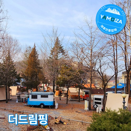 더드림핑