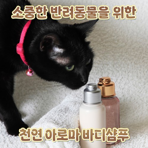 소중한 반려동물을 위한 '천연 아로마 바디샴푸'