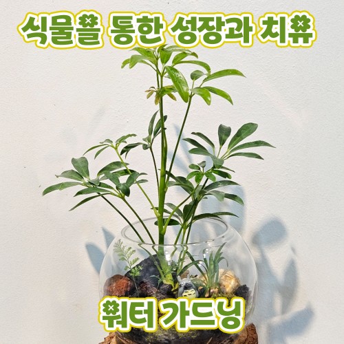 식물을 통한 성장과 치유 '워터 가드닝'