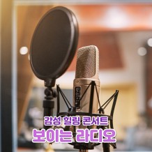 감성 힐링 콘서트 '보이는 라디오'