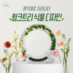 생각대로 자라나다 ‘윙크트리 식물 디자인’